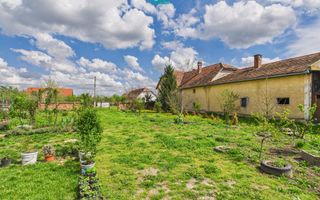 Teren 1300 mp, Beregsău Mare - Poză 3