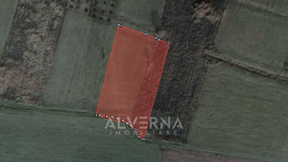 COMISION 0% - Teren extravilan 2.900mp - cadastrat - Gadalin / Jucu - Poză 4