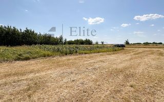 Teren intravilan 1114 mp Sanmartin - Poză 2