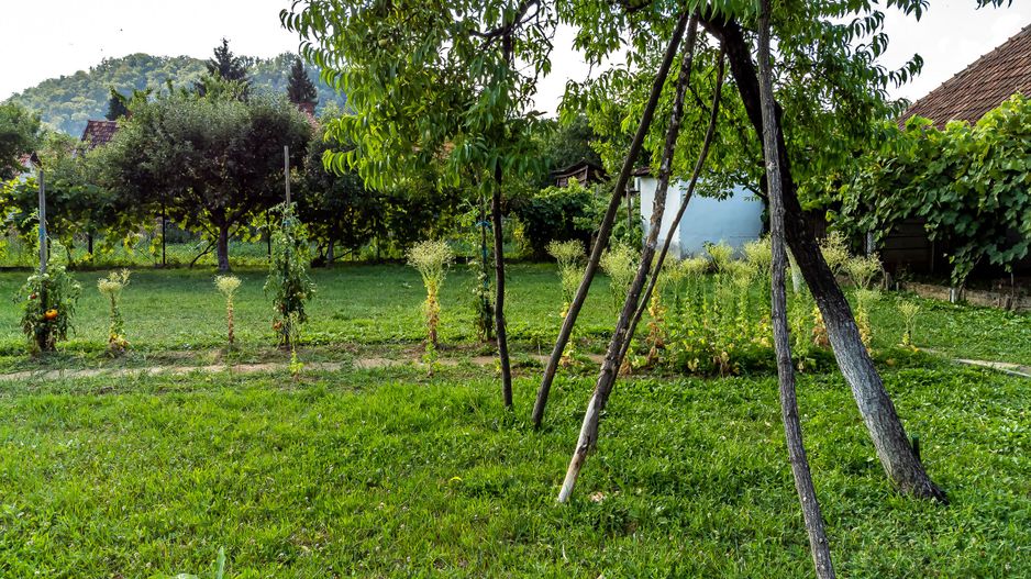 Casă frumoasă la Săvârșin - Poză 9