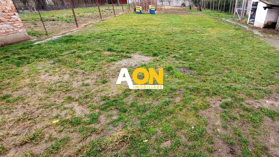 Teren intravilan cu casa, 1173 mp, la asfalt, zona Cetate - Poză 1