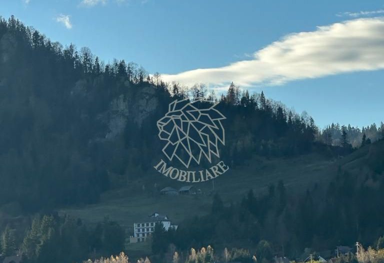 Teren intravilan 3200mp-parcelabil-panorama-Colibita-EXCULSIV - Poză 4