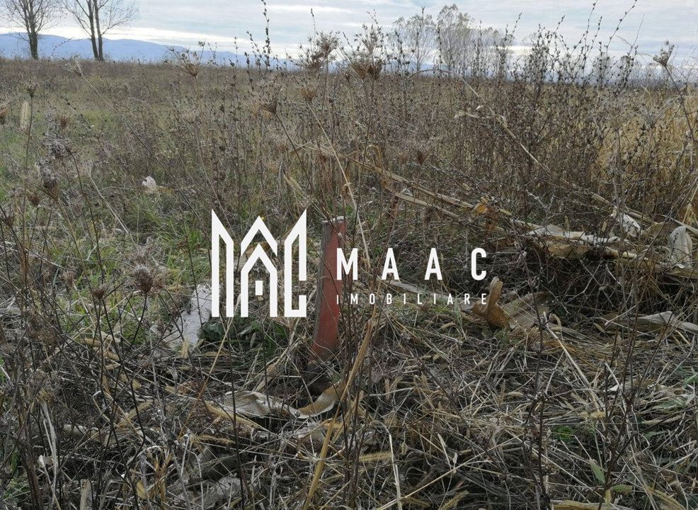 Teren intravilan I Zona Calea Surii Mici- Magnolia - Poză 3