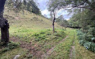 Teren de investiție în Moieciu, lângă Castelul Bran – 11.381 mp, vedere Bucegi - Poză 6