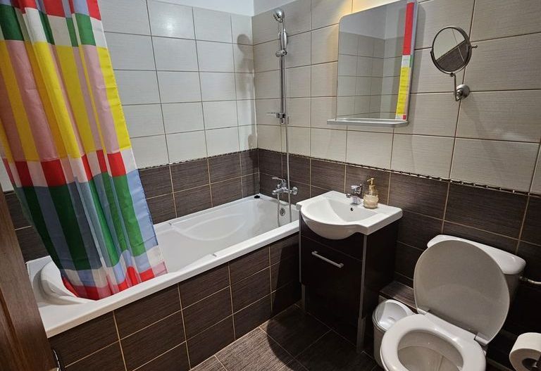 Inchiriere apartament 2 camere zona Turda - Ion Mihalache - Poză 2