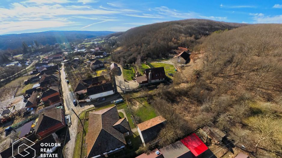 Proprietate pretabila pentru afacere, Cladova - Poză 34