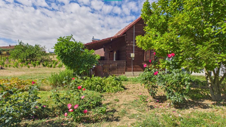 Casă din lemn în Uileacu de Munte – teren 2140 mp - Poză 2