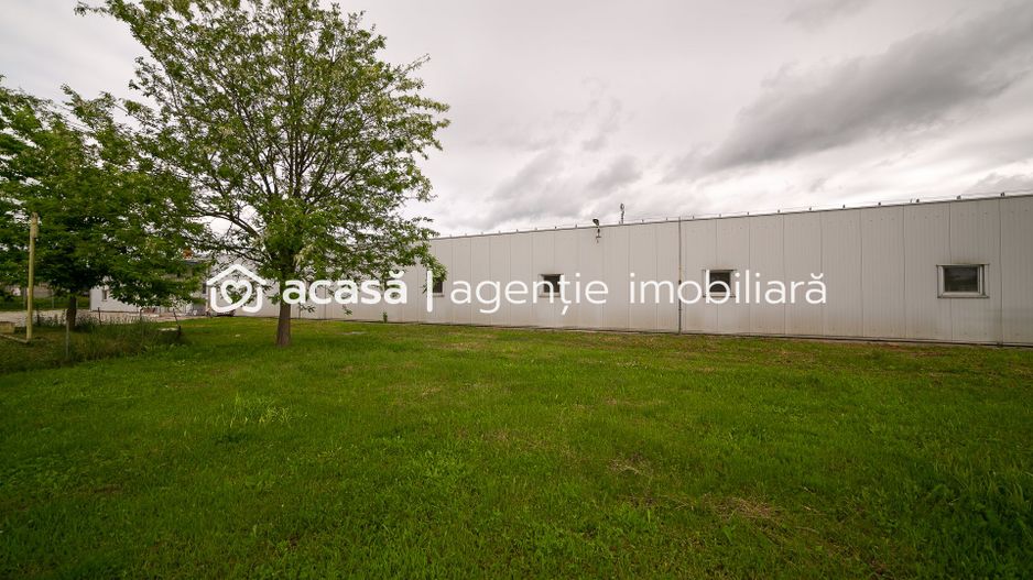 Hală industrială/producție în Lipova - Arad - Poză 3