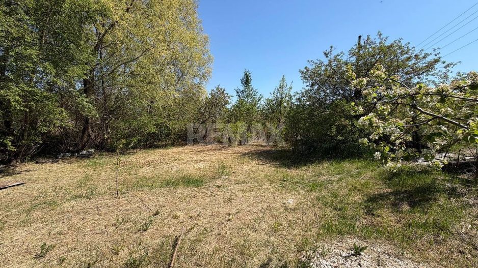 Lot Pomicol Truseni I.P. Alfa-Agro - Poză 7