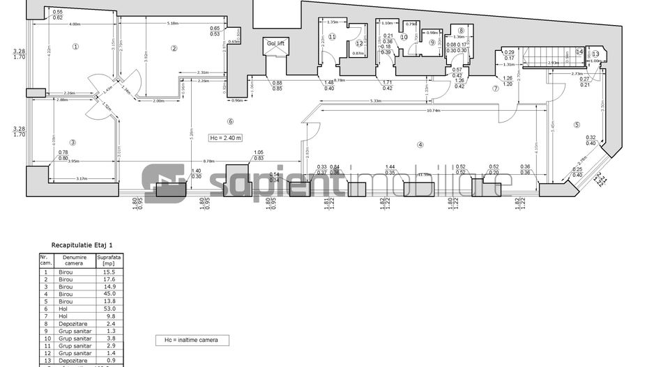 Sapient | Spațiu comercial _ Pasajul Vulturul Negru - Schiță 12