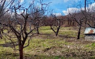 Teren cu livada+ casa de vanzare in Talmacel- 4000 mp - Poză 6