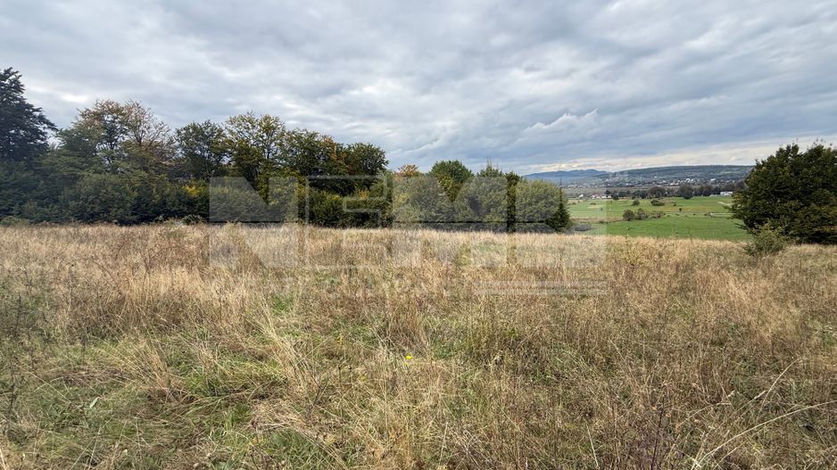 Teren de vânzare în Putna | 6.400 mp | 56 m front stradal - Poză 3