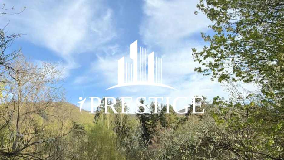 TEREN INTRAVILAN 1013 MP | UTILITĂȚI LA STRADĂ | ZONA PIATRA BROAȘTEI - Poză 6