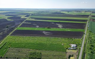 Livadă de nuci și pruni 2.4ha în Variașul Mare - Poză 10