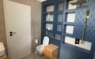 Penthouse Dobroiesti - Poză 11