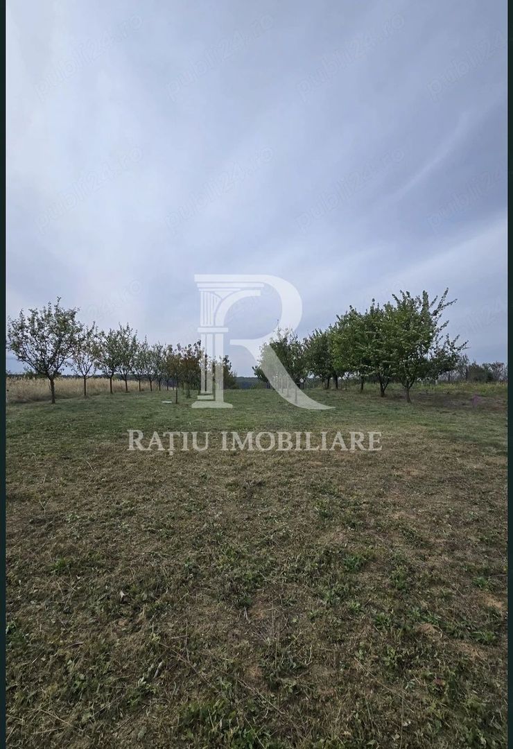 De vanzare | Teren intravilan 1500 mp | Cordau | Cu livada - Poză 5