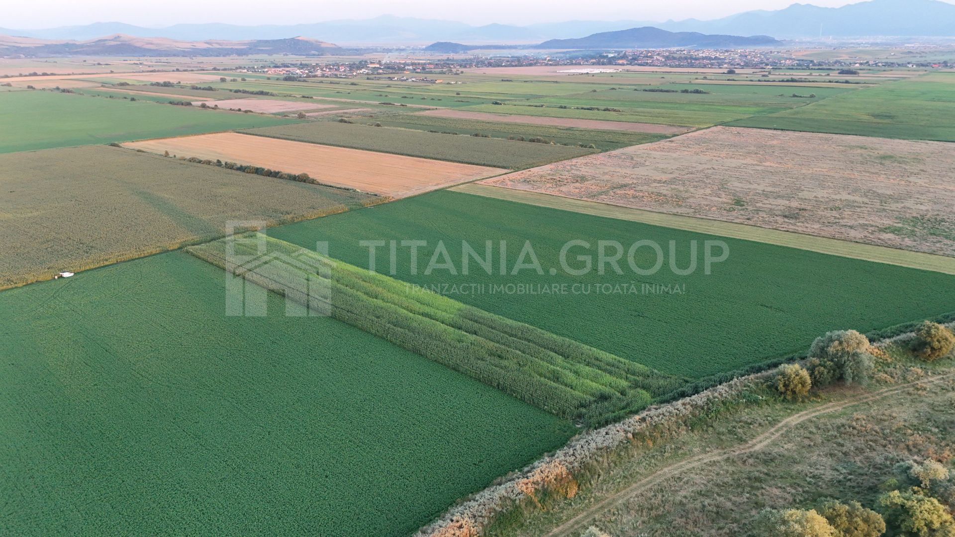 Teren extravilan, 8700 mp, pretabil agricultură sau investiție - Bod - Poză 4