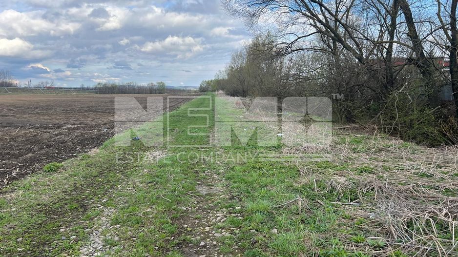 Teren Extravilan | 48 Ari - Poză 2