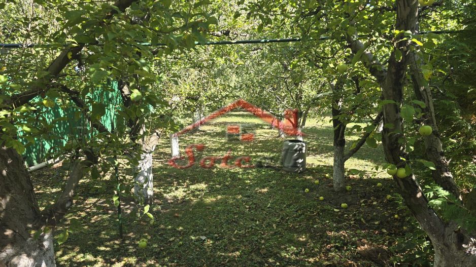 Vilă elegantă și casă independentă pentru oaspeți - Banesti - Poză 38