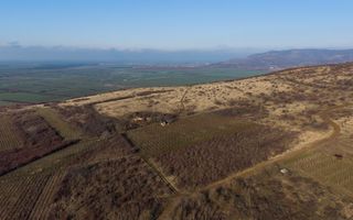 Vita-de-vie Premium  teren de 6800 mp în Covăsinț - Poză 18