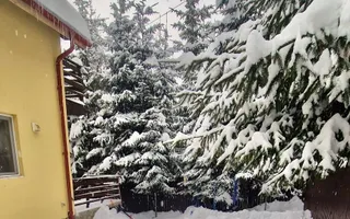 Casa de vacanta la liziera padurii cu vedere libera catre muntii Bucegi - Poză 11