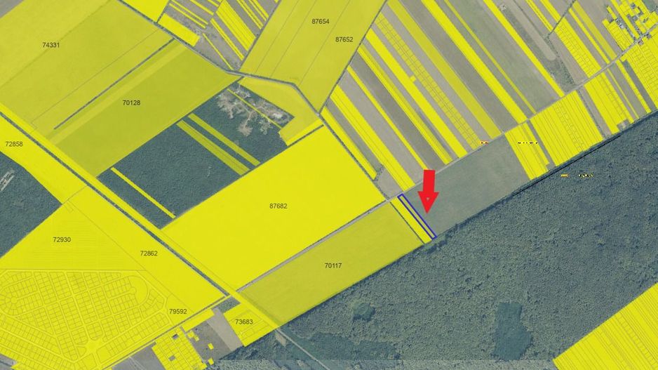 Teren de vânzare lângă pădure, intravilan - Poză 2