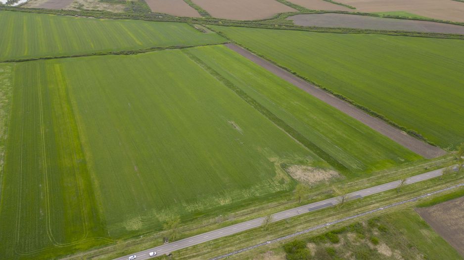 Teren extravilan de 22500mp Zona Ineu - Poză 8