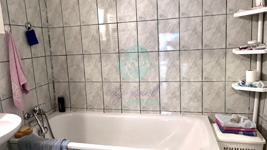 Casa batraneasca intre Parcul Carol si Parcul Tineretului - Poză 10