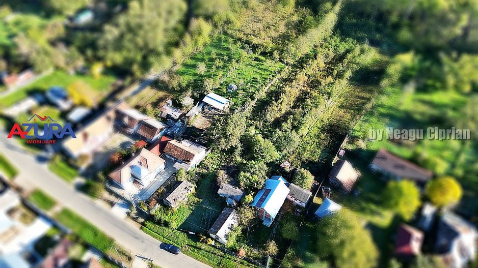 Vanzare teren 3300 mp, intravilan, Albota - Mares - Poză 9