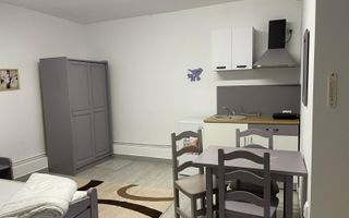 Casa - 320mpu - Ultracentral - Ideal Investitie - Teren 583mp - Poză 8