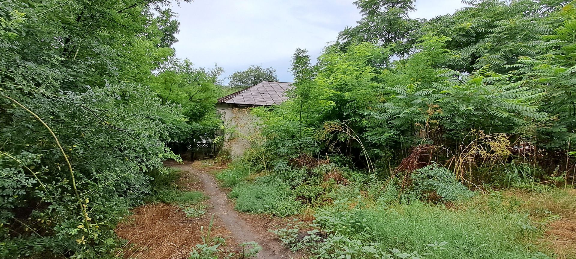 Giurgiu, comuna DAIA, teren 1300 m, deschidere 21, imobil pe teren - Poză 2