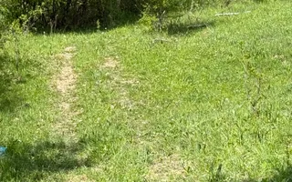 Teren intravilan 2440mp cu autorizație de construire și proiect ! - Poză 17