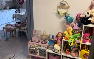 Apartament 3 camere / Zona Florilor - Poză 10