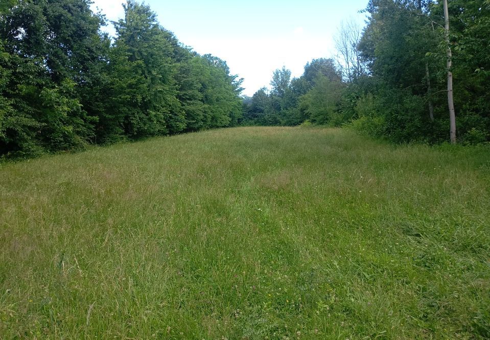 teren 1773 mp | Prahova | Banesti | Urleta | Campina - Poză 2