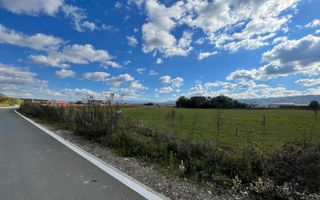 Teren industrial de vânzare în Cristian – 6.000 mp, deschidere la drum asfaltat - Poză 4