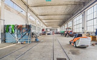 Complex industrial cu hale și teren  în Orțișoara - Poză 36