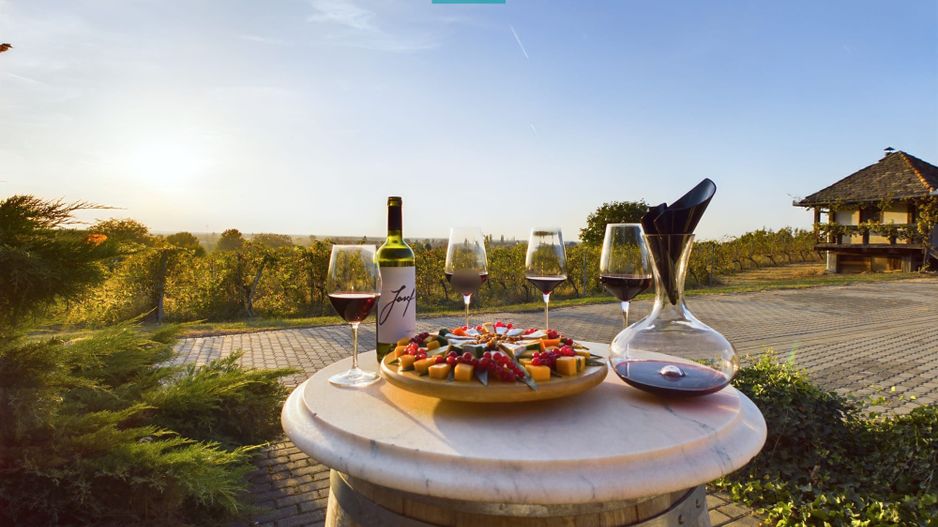 Spațiu comercial - Crama Pivnițele Birăuaș - Poză 19