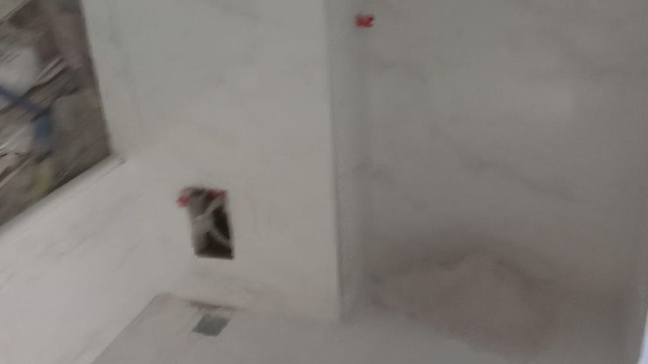 BRASADAS vinde gars. partial finisata PARTER Dariu Pop. - Poză 5