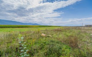 Oportunitate de investitie la DN1, 5.000 mp, zona aeroportului Brasov - Poză 3
