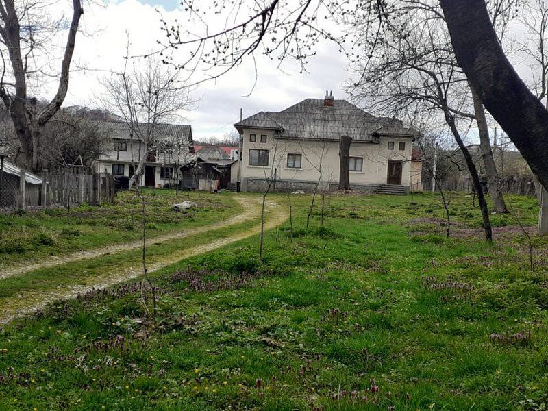 Casa de vanzare Domnesti Arges - Poză 10