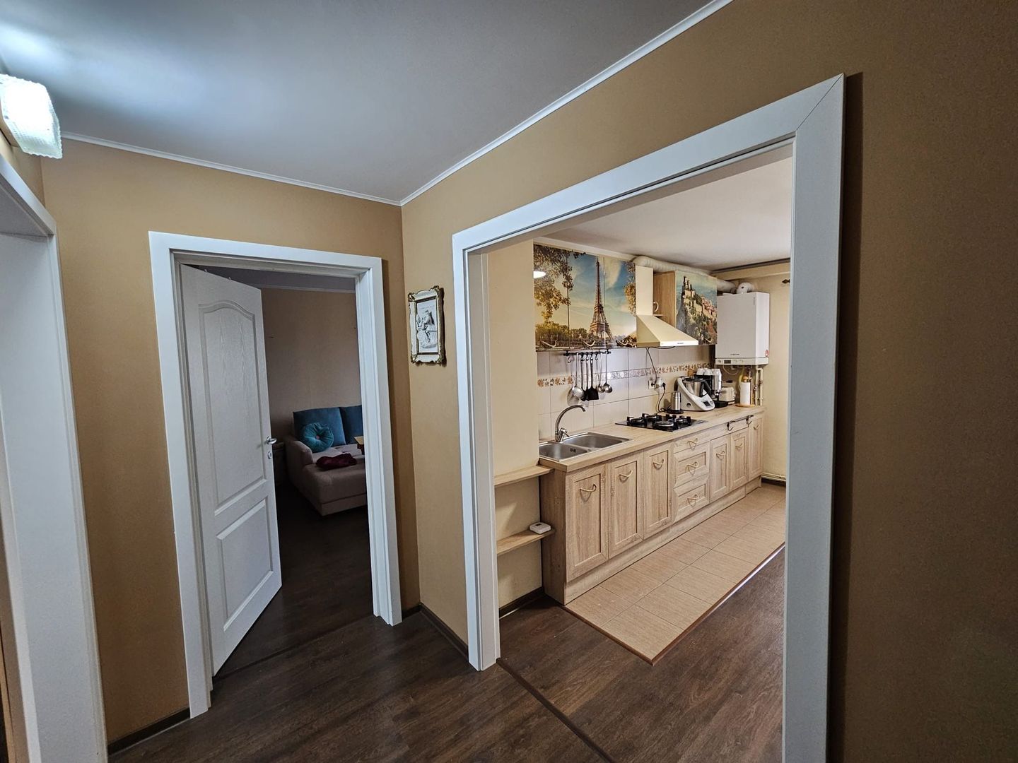 APARTAMENT 3 CAMERE LIPOVEI - Poză 1