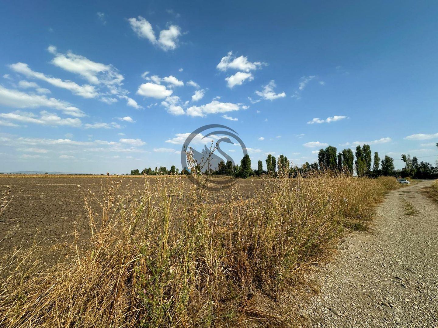 Teren extravilan de vanzare | 9882mp | Berceni - Prahova | Comision 0% - Poză 8