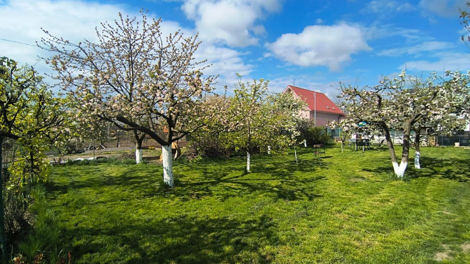 Casa + Teren Generos 1400 MP | Burdujeni – zona Penny - Poză 21