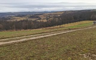 Teren cu o priveliste superba langa padure - Poză 3