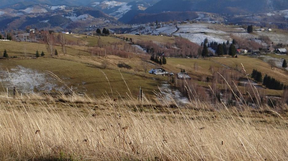 In locatia de basm: - Pestera, Moieciu, Brasov, utilitati, accesibilitate - Poză 24