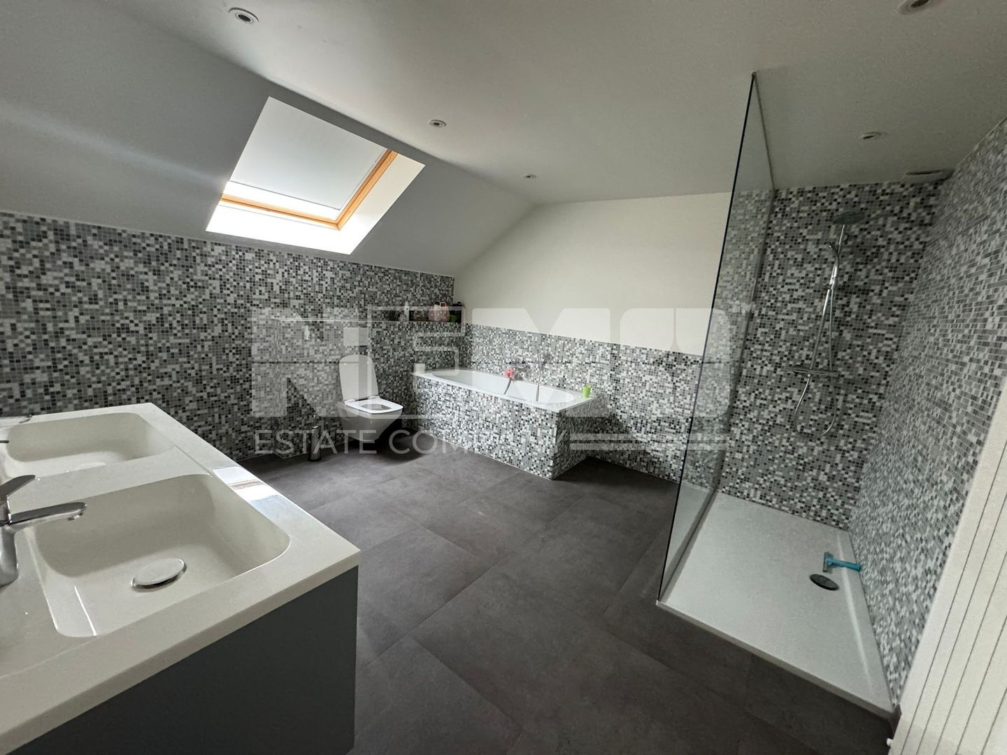 CASĂ DE VIS DE VÂNZARE | BOSANCI, SUCEAVA | Pret: 260.000€ - Poză 19