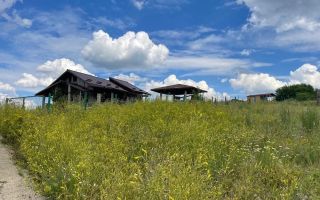 Teren de vânzare 750 mp cu căsuță de vacanță – Chicerea, Tomesti, județul Iași - Poză 2