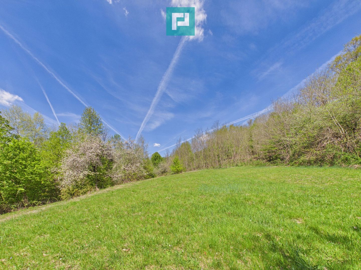 Proprietate rară cu 24.270 mp, în Măgulicea, Arad! - Poză 41