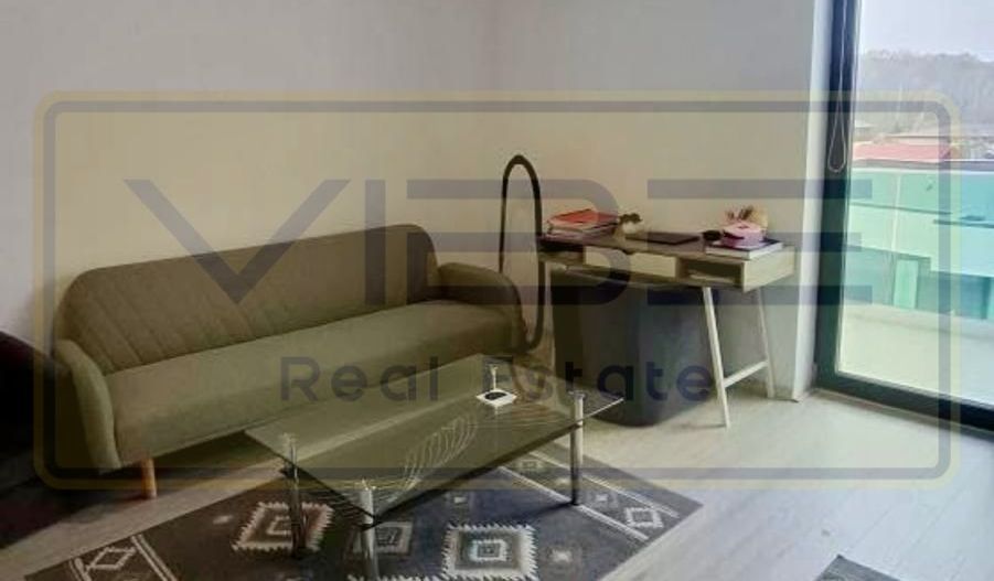 Apartament 1 camera Newton Park Copou - Poză 6