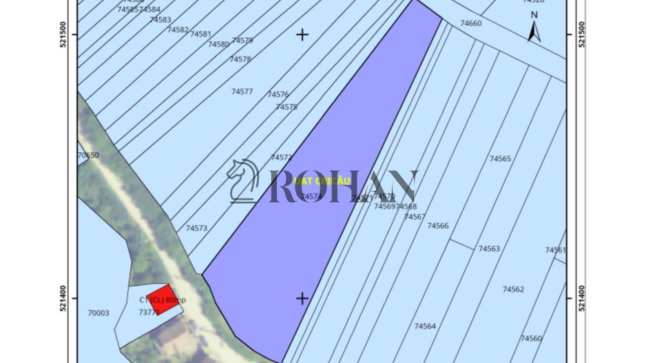 Teren 4.000 mp | Front Generos 47 ml | Utilități | La Asfalt | Cricău - Poză 2
